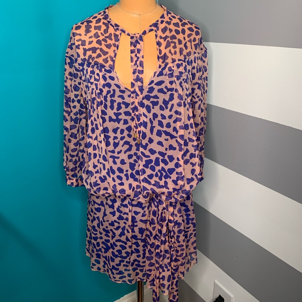DVF Desma Silk Print Dress